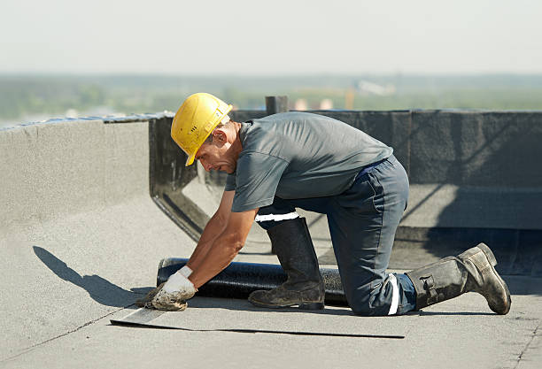 Best Residential Insulation in Carlinvle, IL